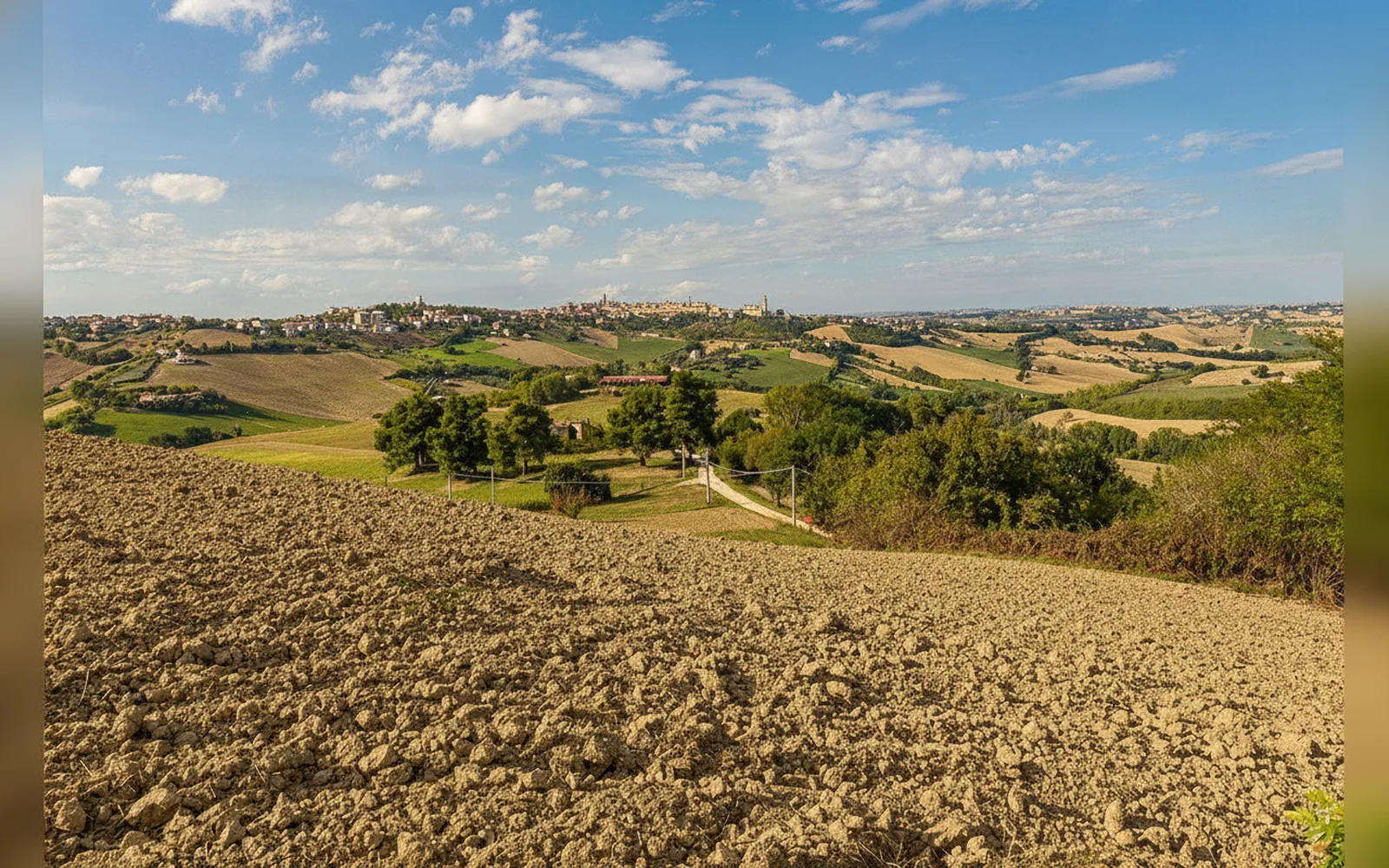 Esterni di Casa Viale Marconi, Monte San Pietrangeli (Marche) (foto 1)